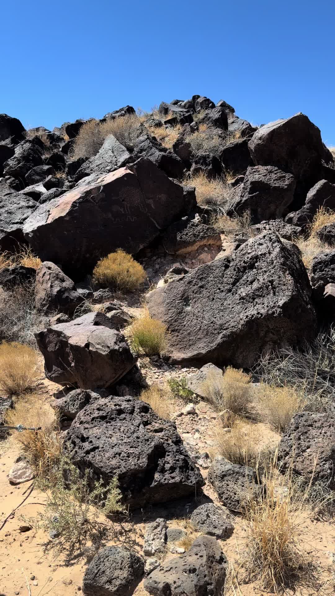Petroglyph National Monument