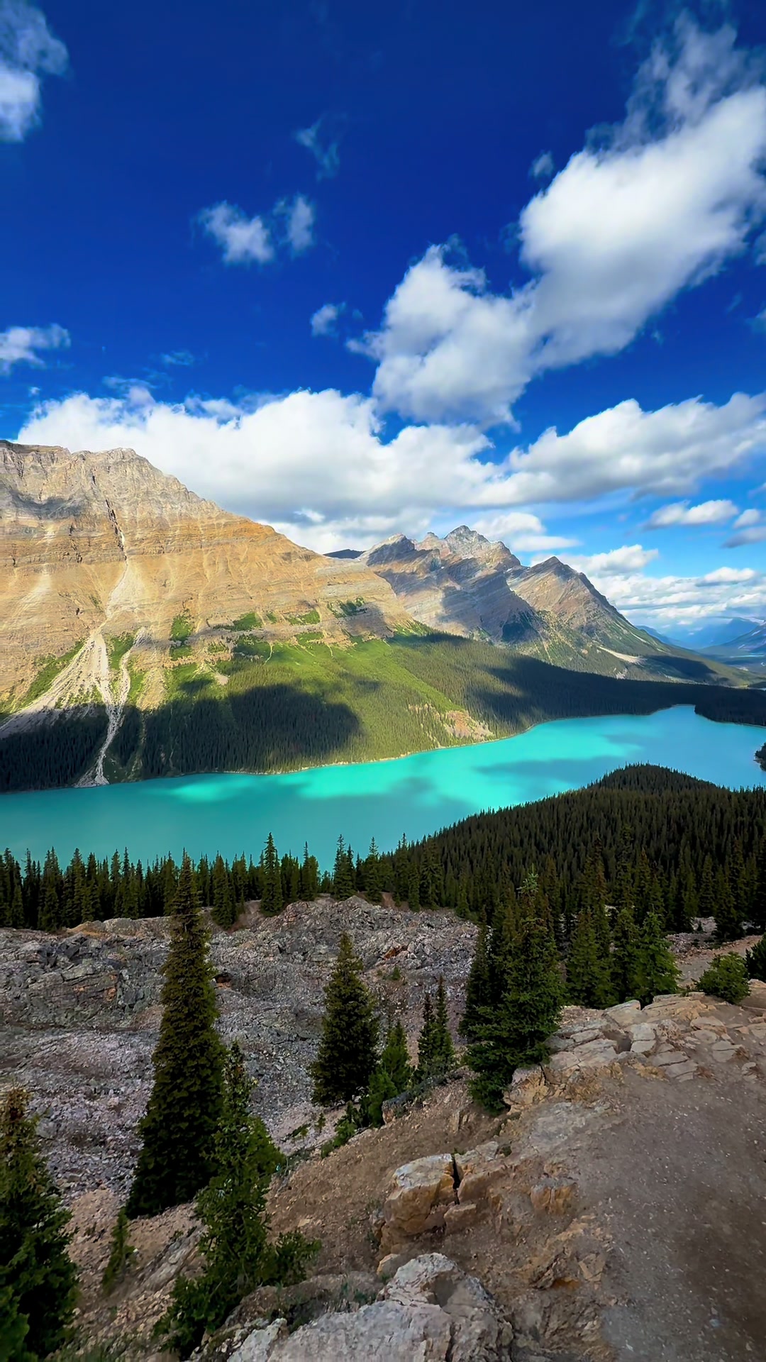 Peyto Lake Lookout