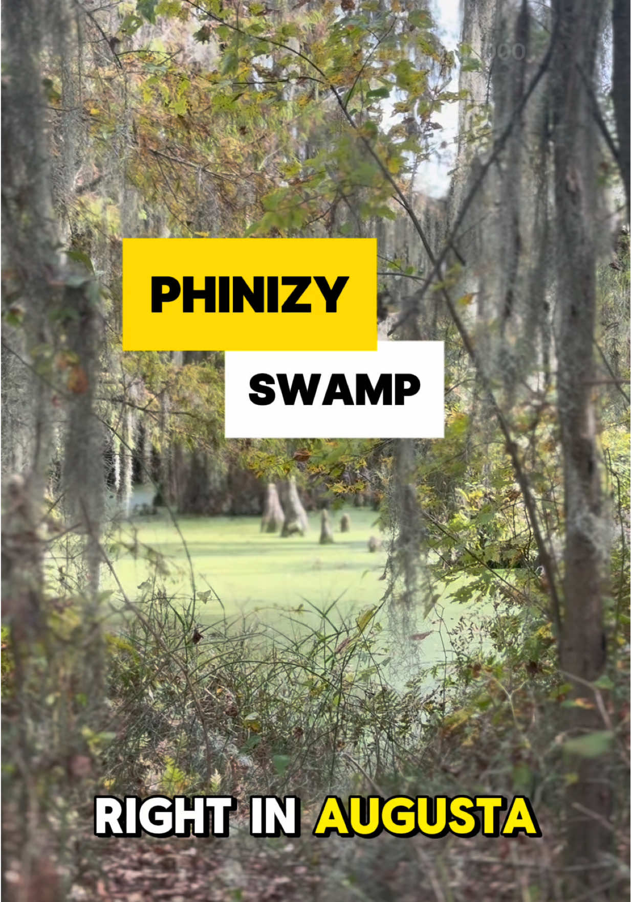 Phinizy Swamp Nature Park