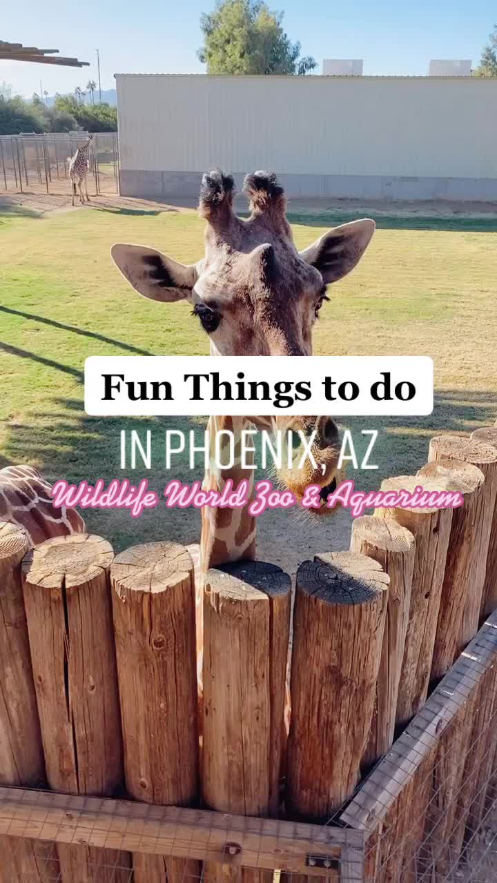 Phoenix Zoo