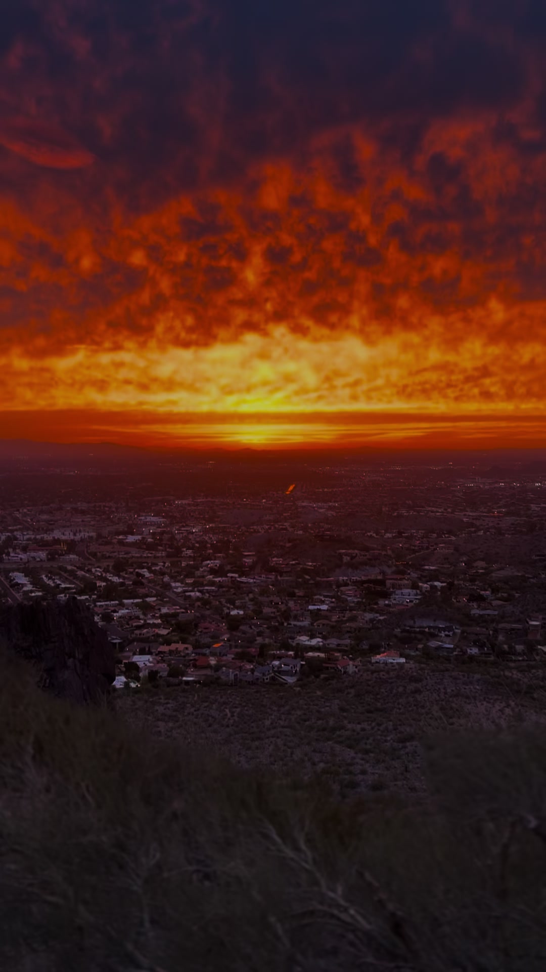 Phoenix
