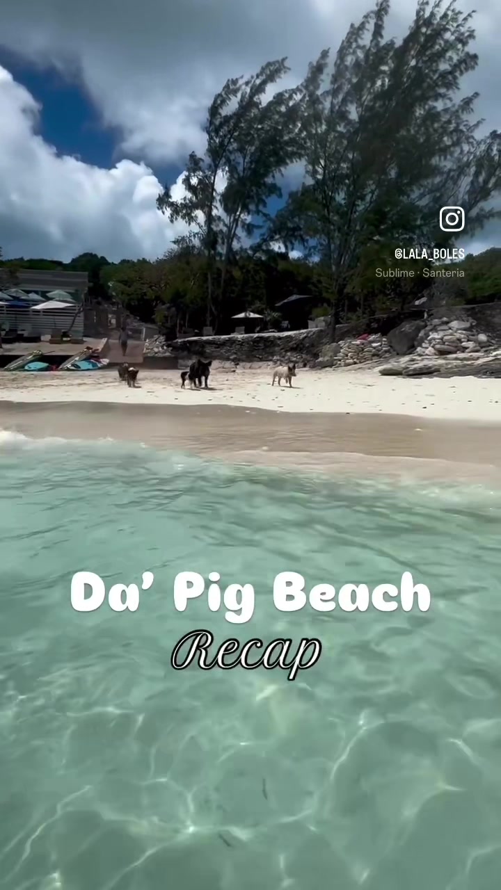 Pig Beach