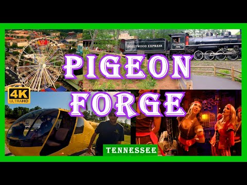 Pigeon Forge, TN