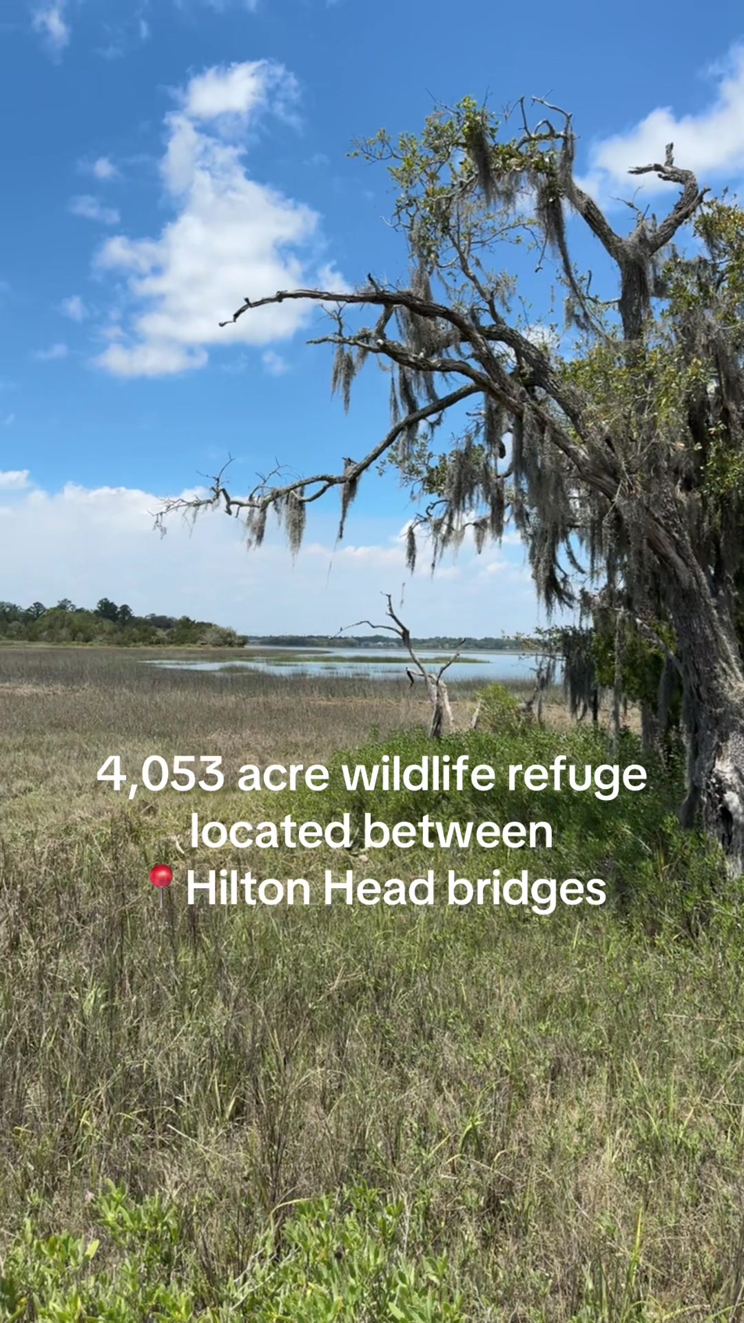 Pinckney Island National Wildlife Refuge