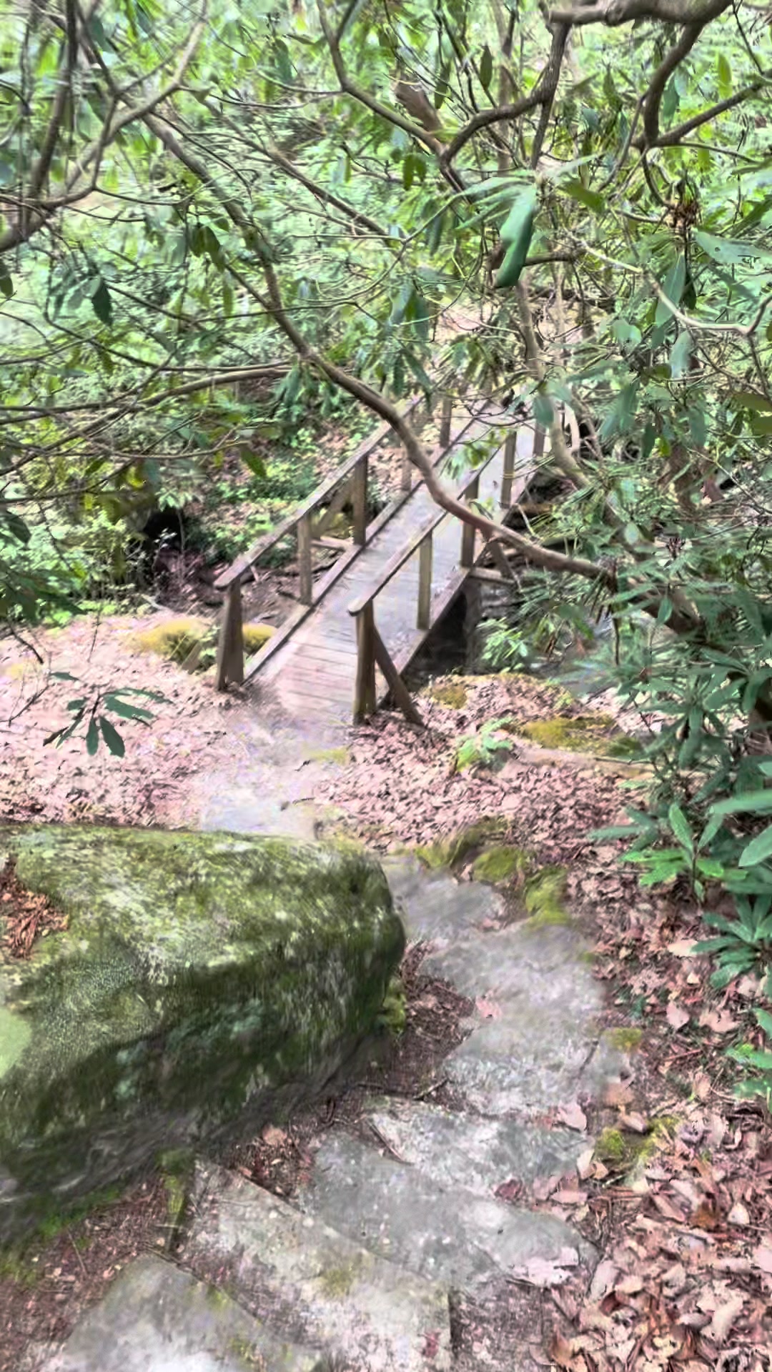 Pine Mountain State Resort Park