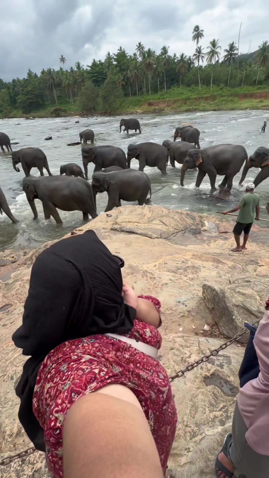 Pinnawala Elephant Orphanage