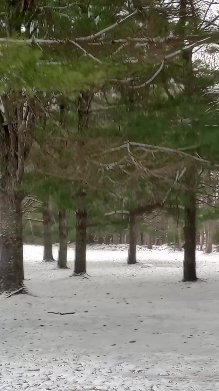 Pipestem Resort State Park, WV