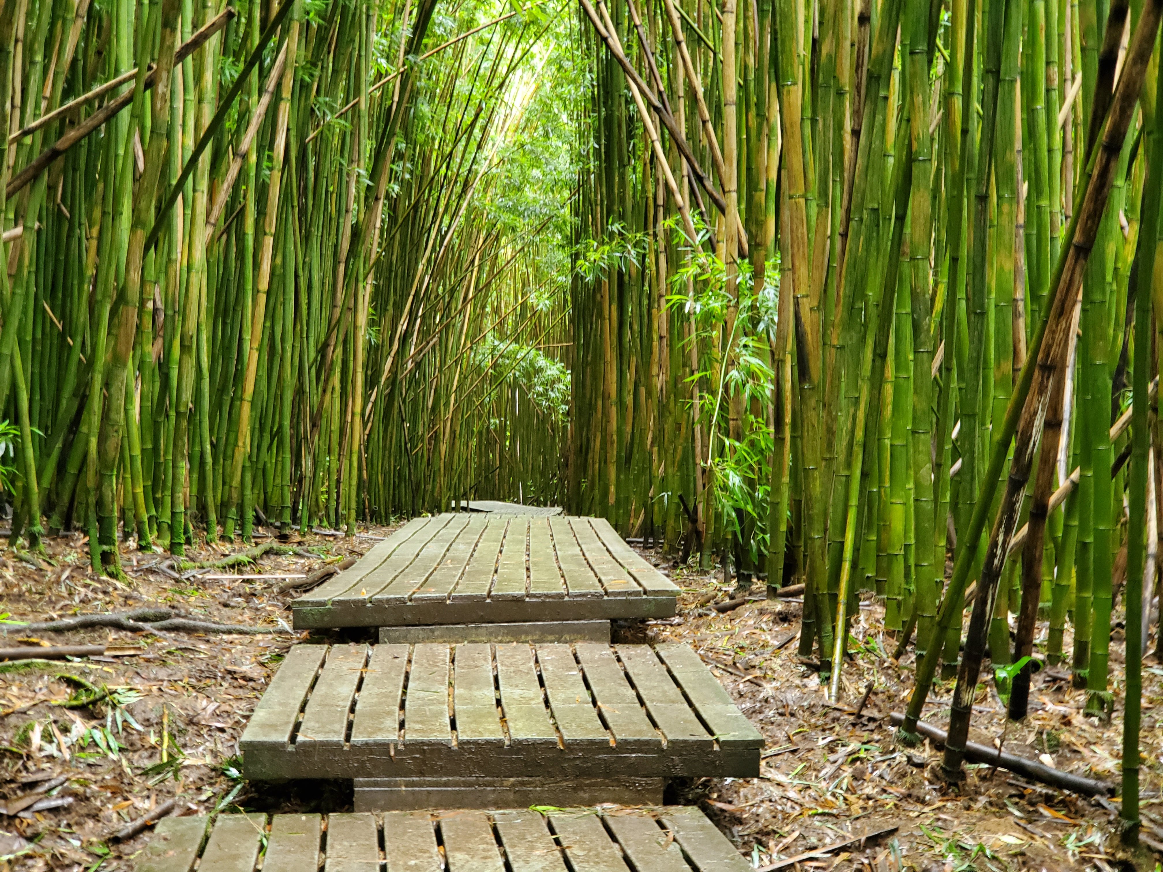 Pipiwai Trail