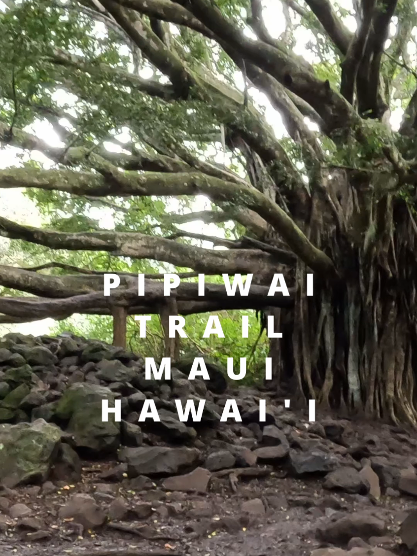 Pipiwai Trail