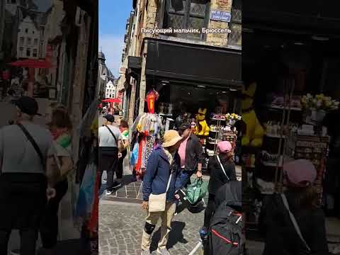 Писающий мальчик (Manneken Pis)