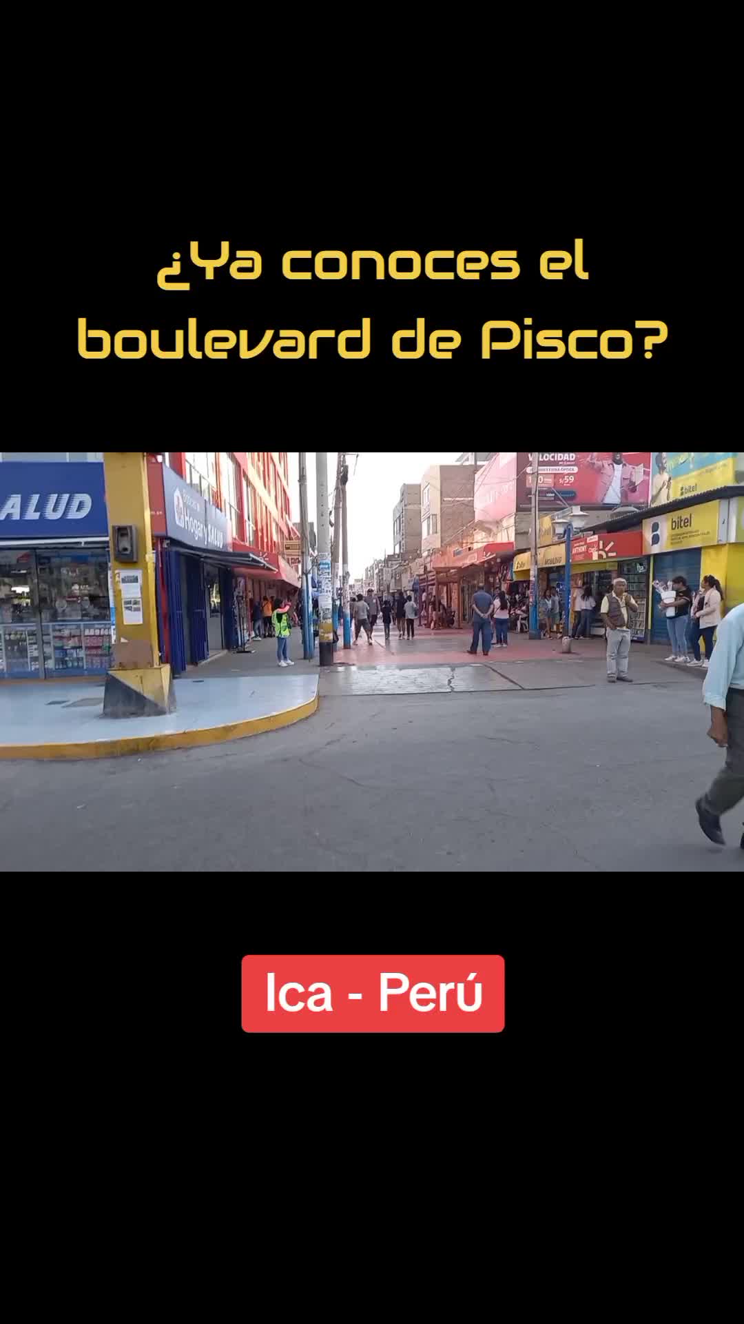 Pisco