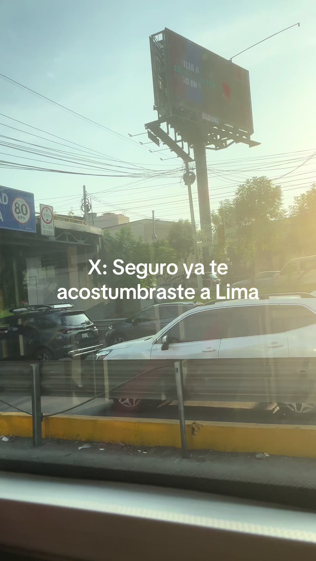 Pisco