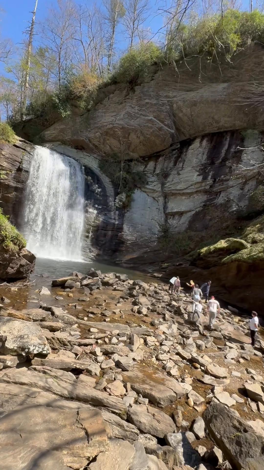 Pisgah National Forest