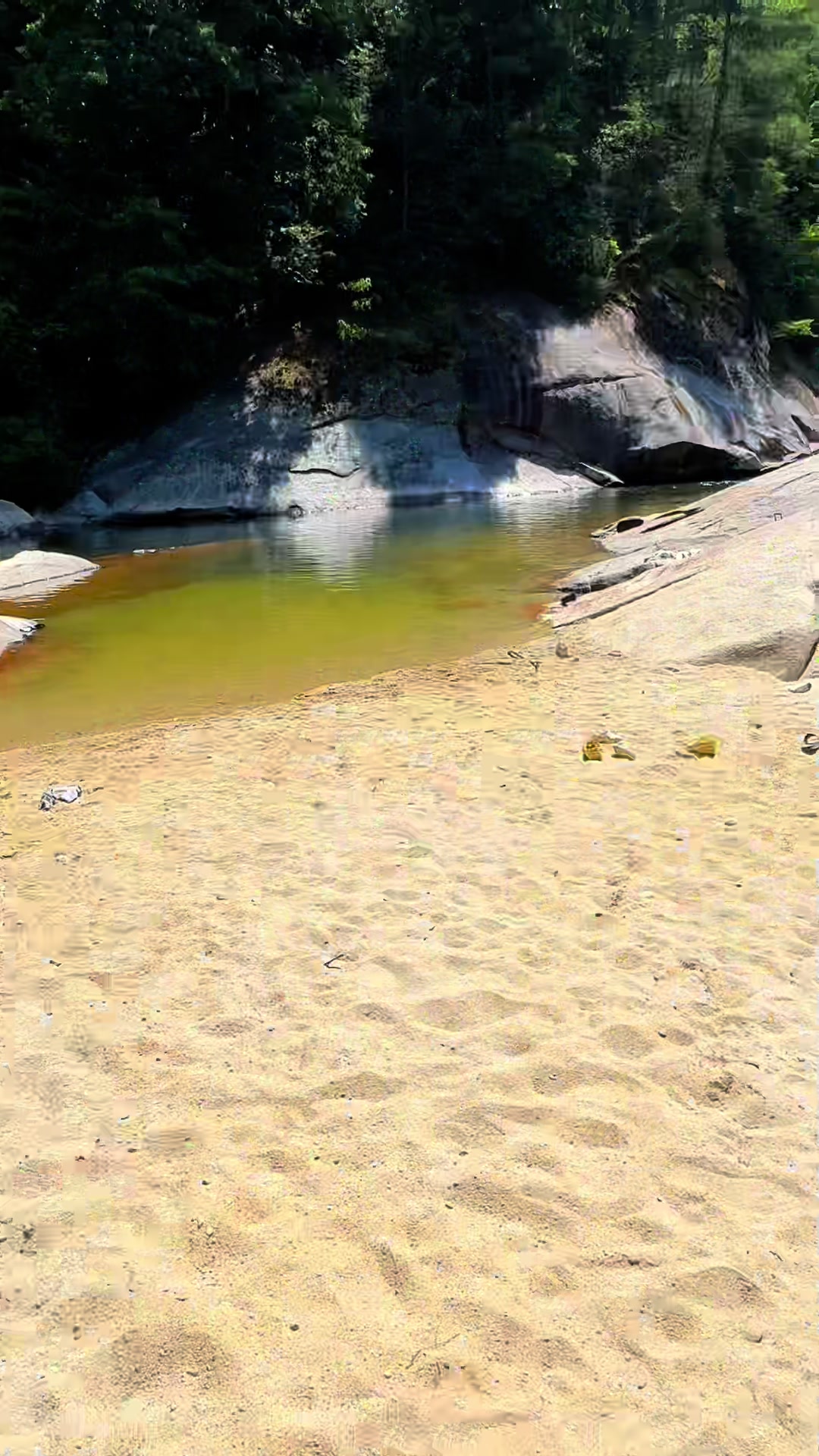 Pisgah National Forest