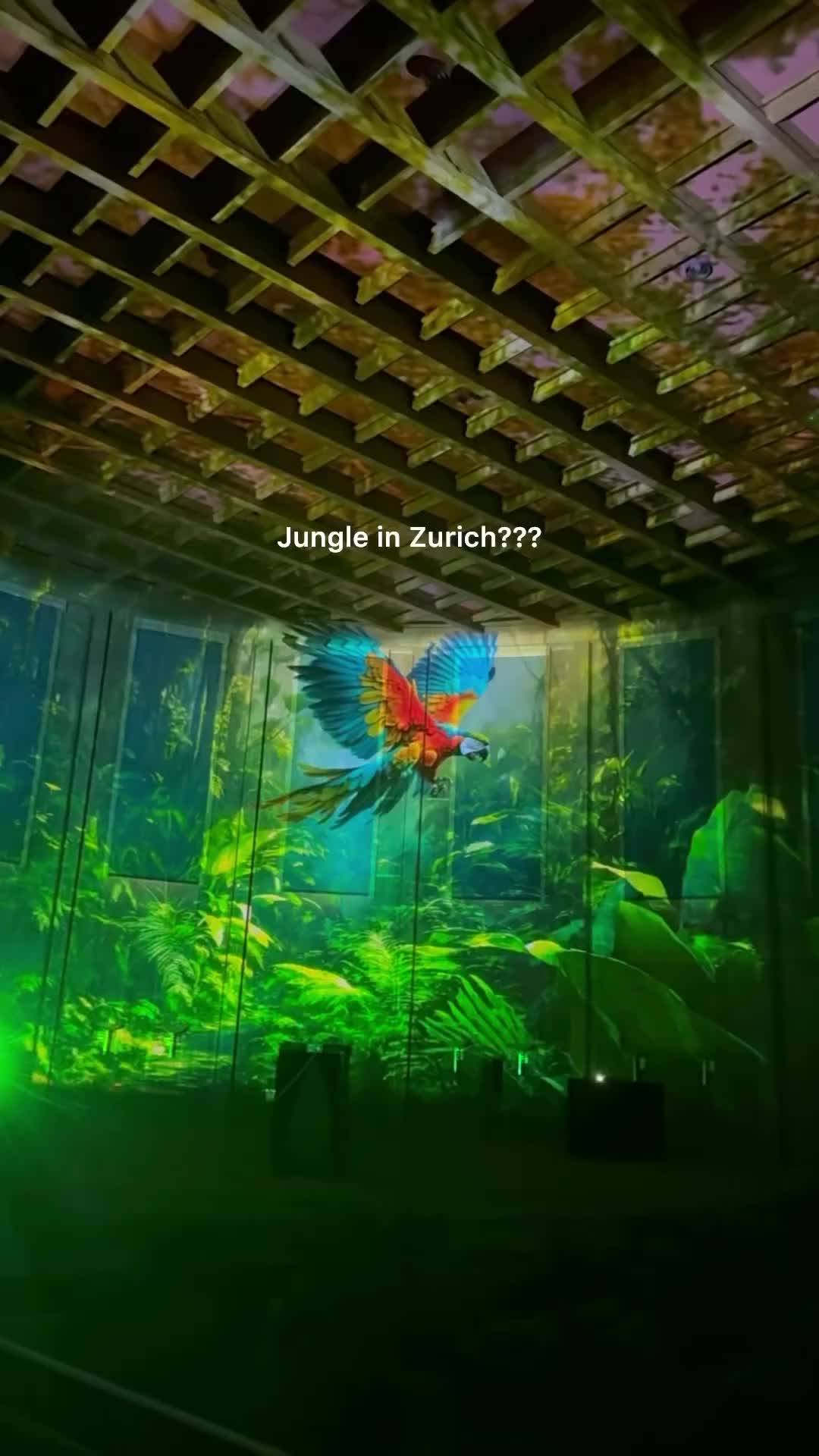 Pixel Zoo Jungle