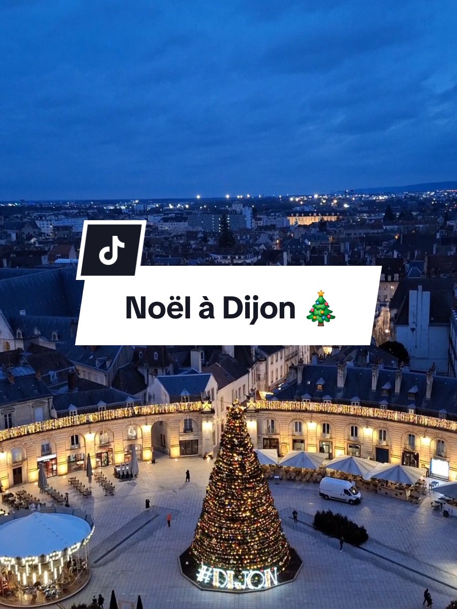 Place de la Libération (Dijon)