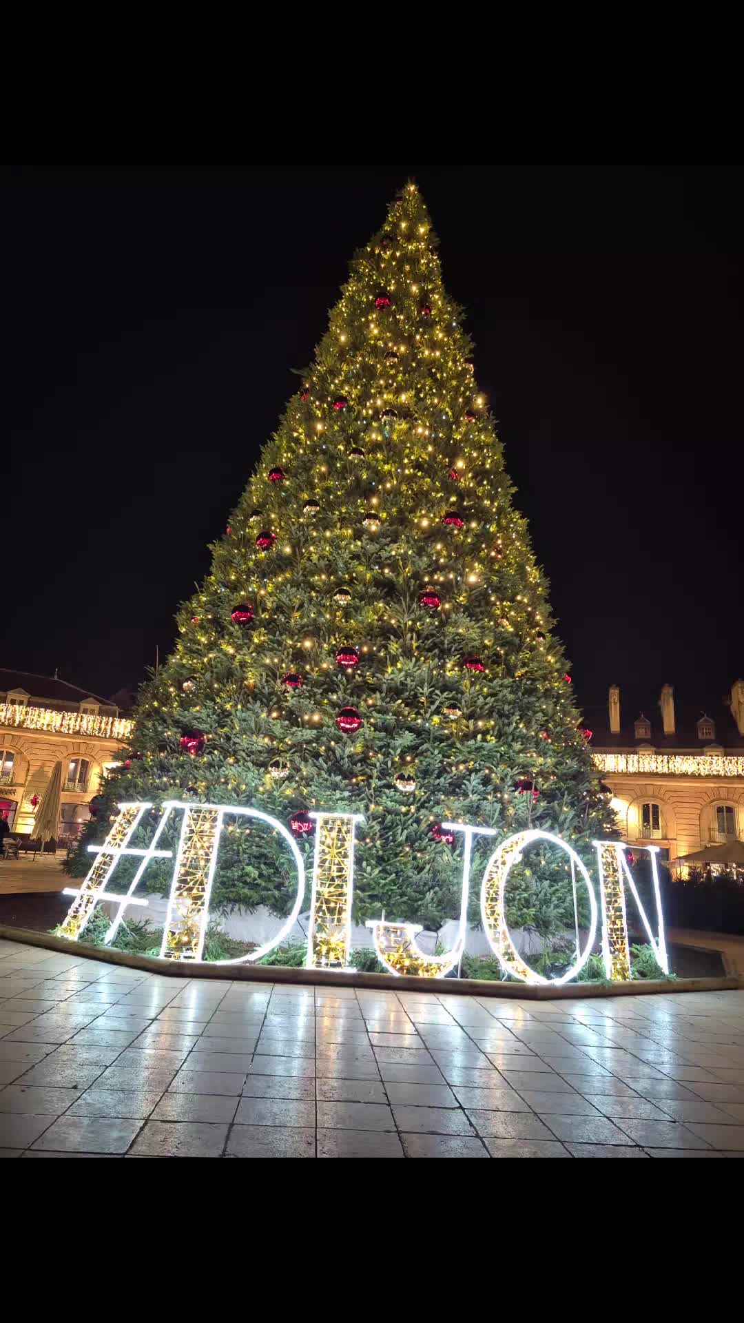 Place de la Libération (Dijon)