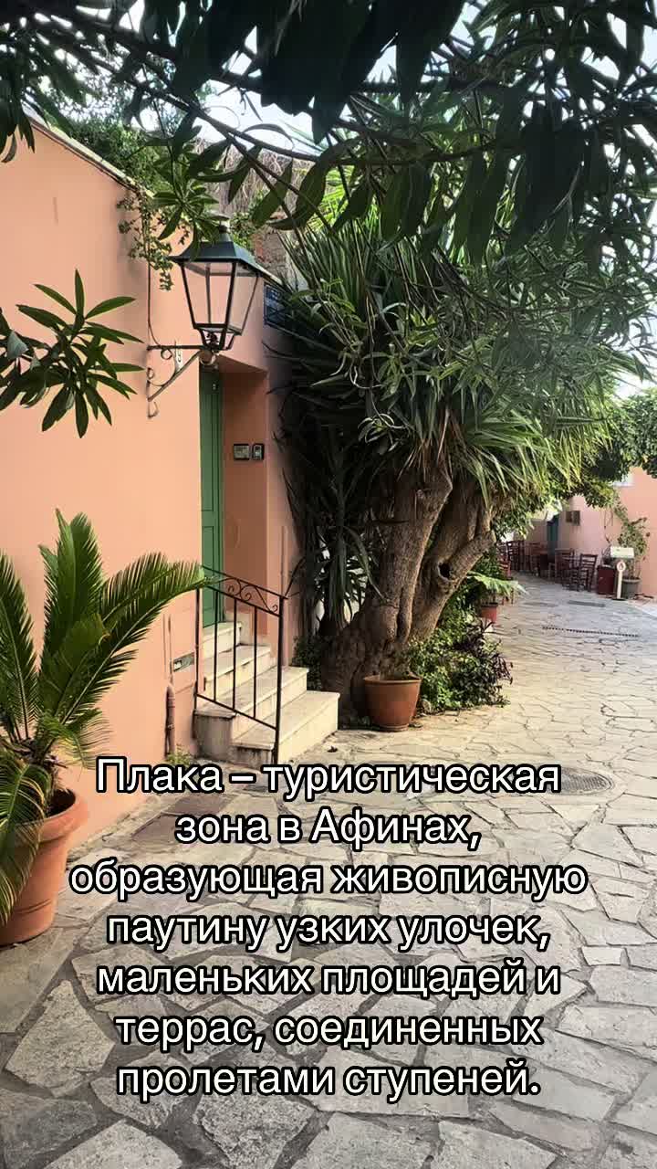 Плака
