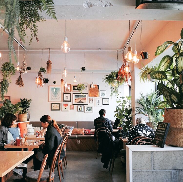 תמונה עבור Plant Café & Kitchen