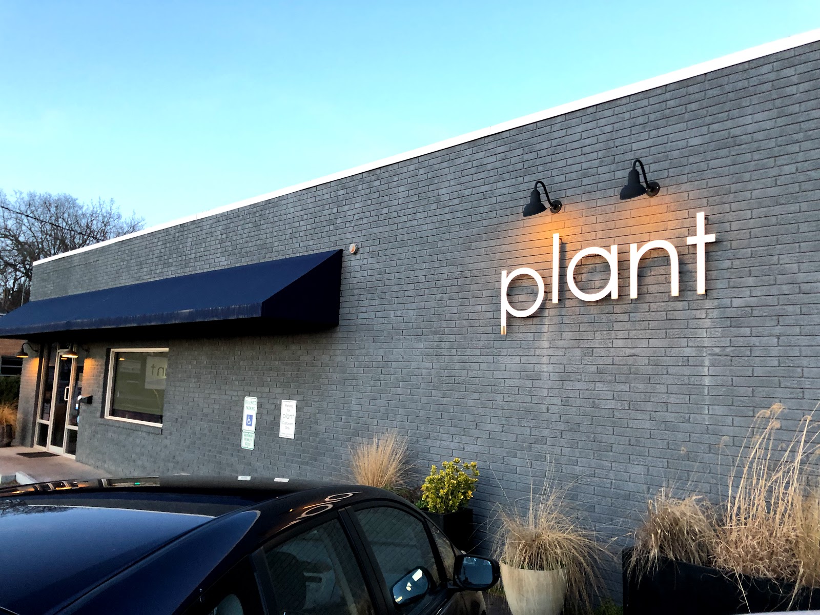 Picture for Plant