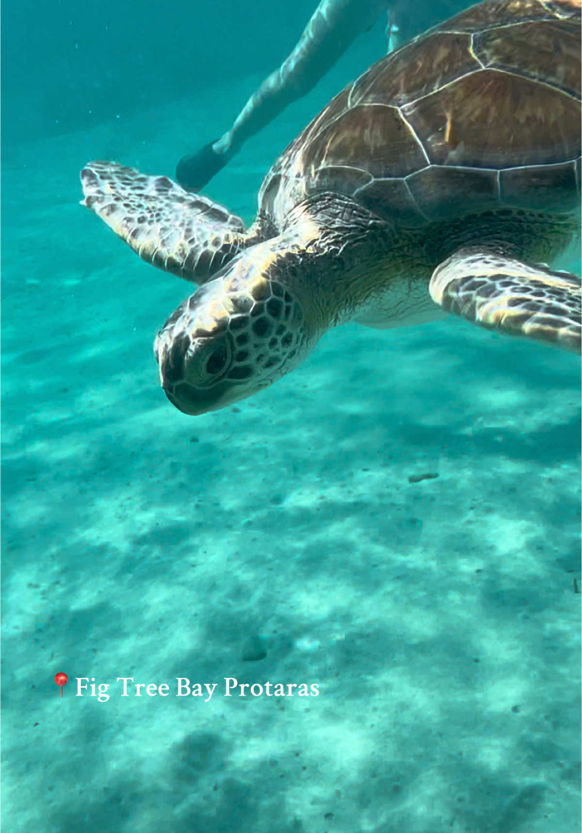 Пляж Фиг-Три-Бэй (Fig Tree Bay), Протарас