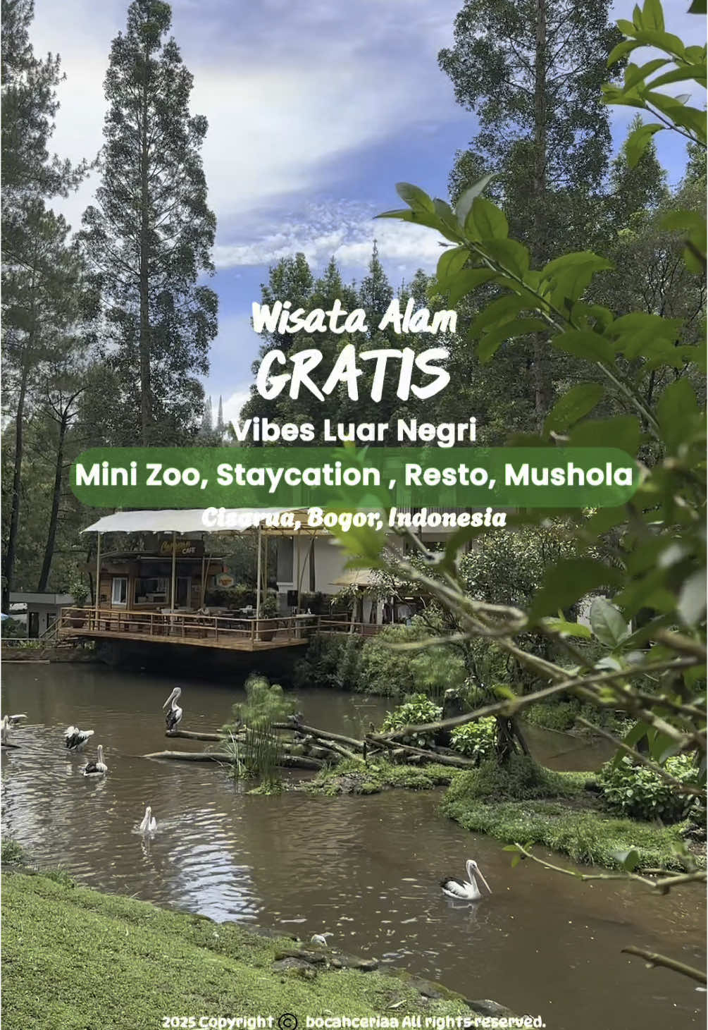 Пляж Пярну и детский парк MiniZoo
