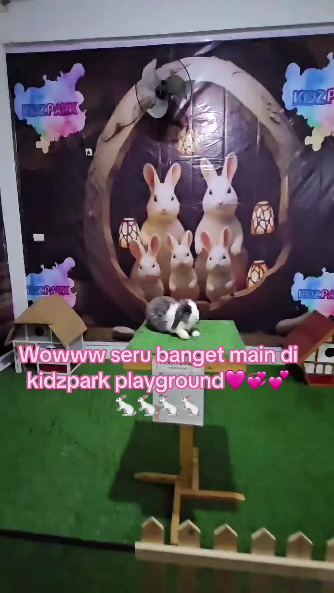 Пляж Пярну и детский парк MiniZoo