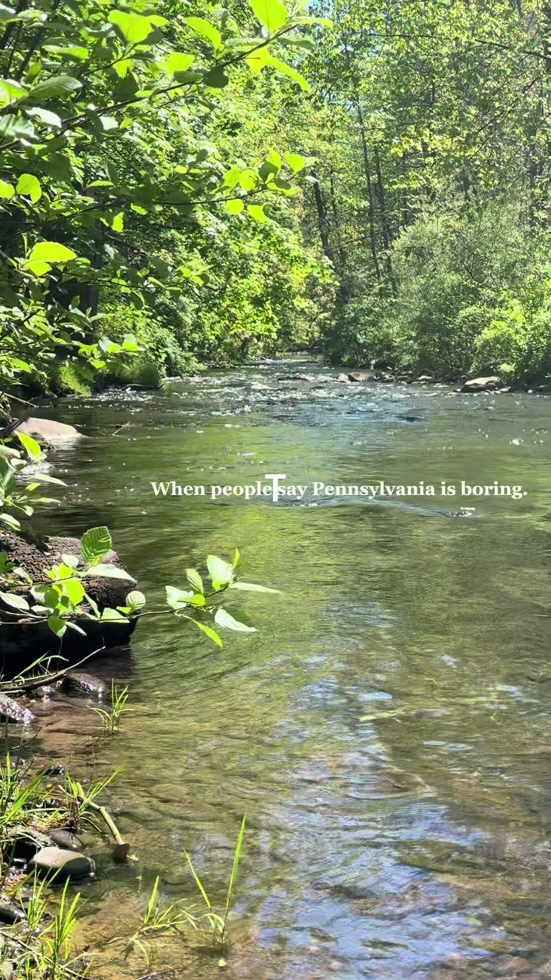 Pocono Mountains