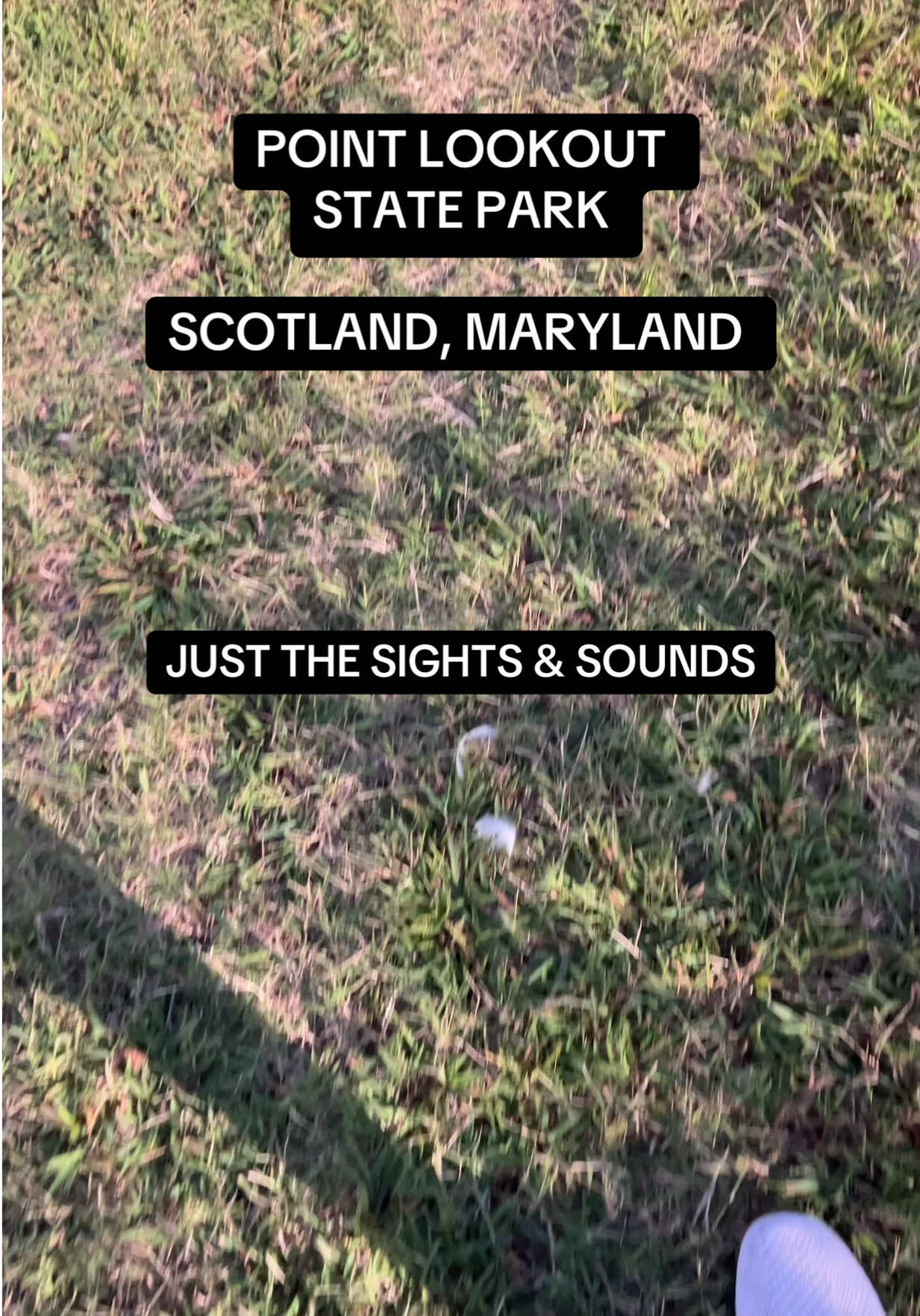 Point Lookout State Park