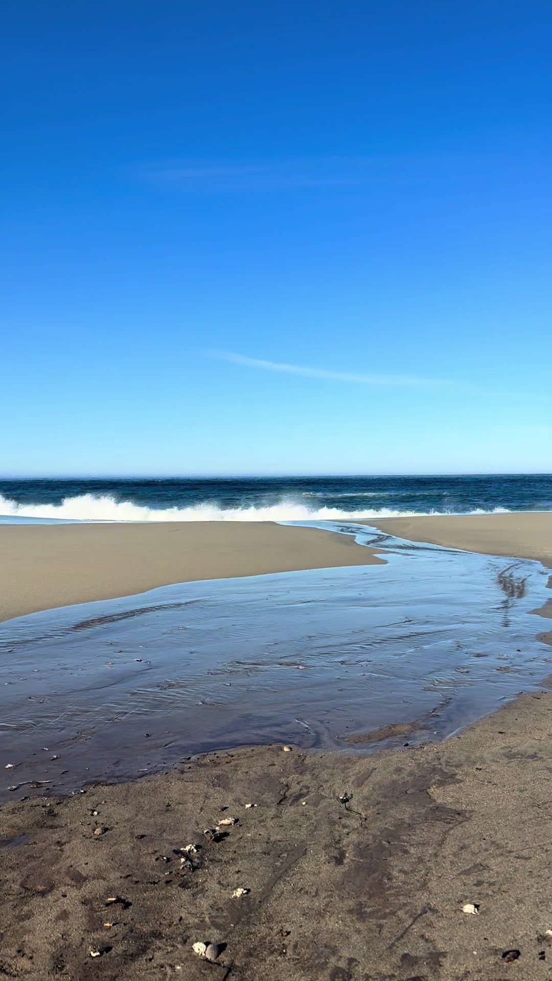 Point Reyes National Seashore