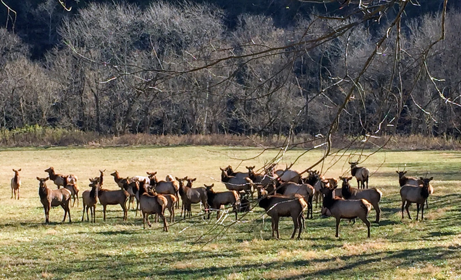 Ponca, AR