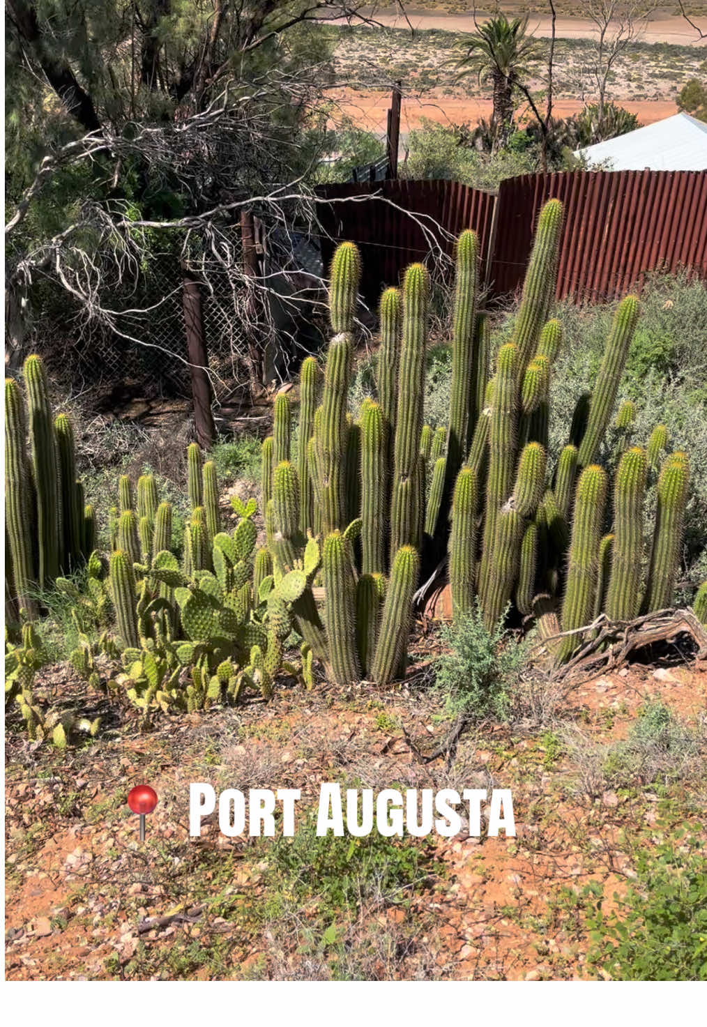 Port Augusta