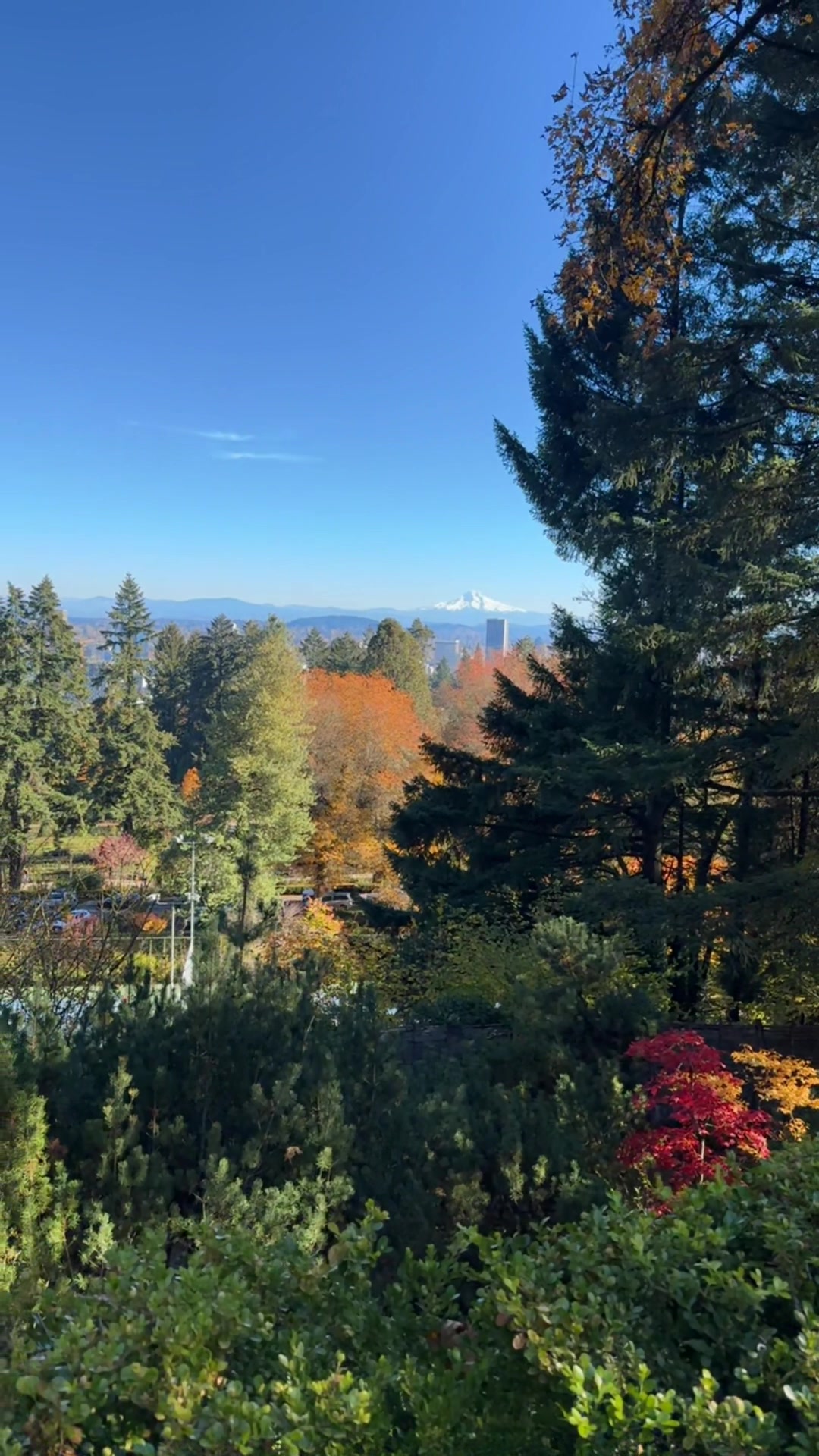 Portland Japanese Garden