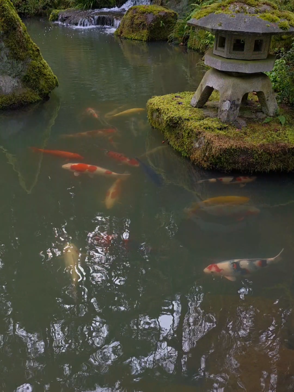 Portland Japanese Garden
