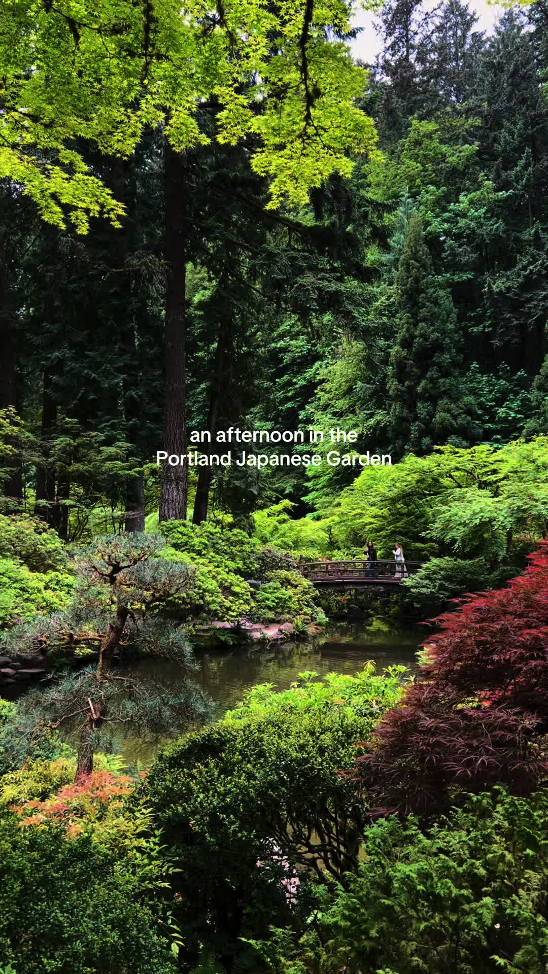 Portland Japanese Garden