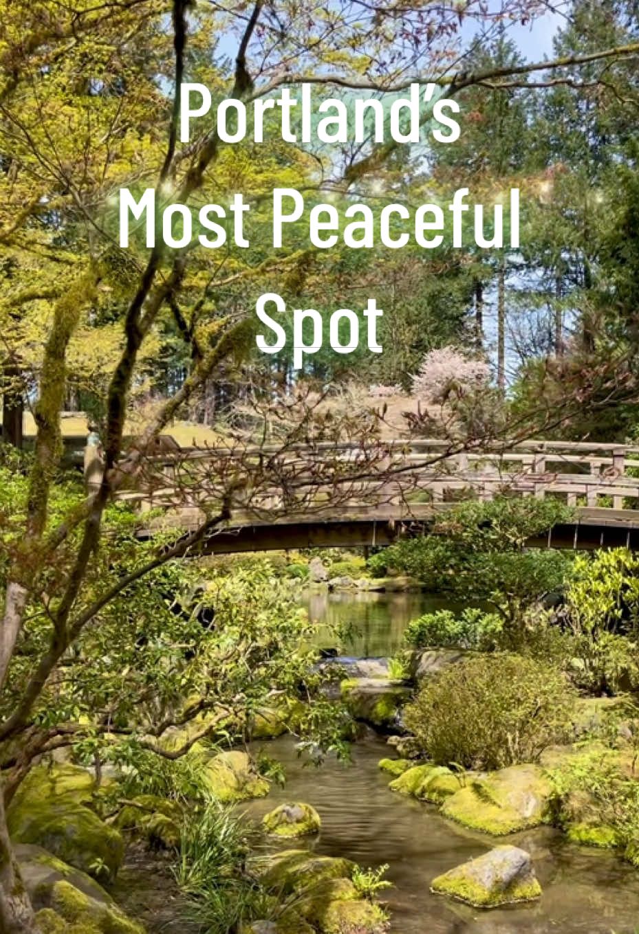 Portland Japanese Garden