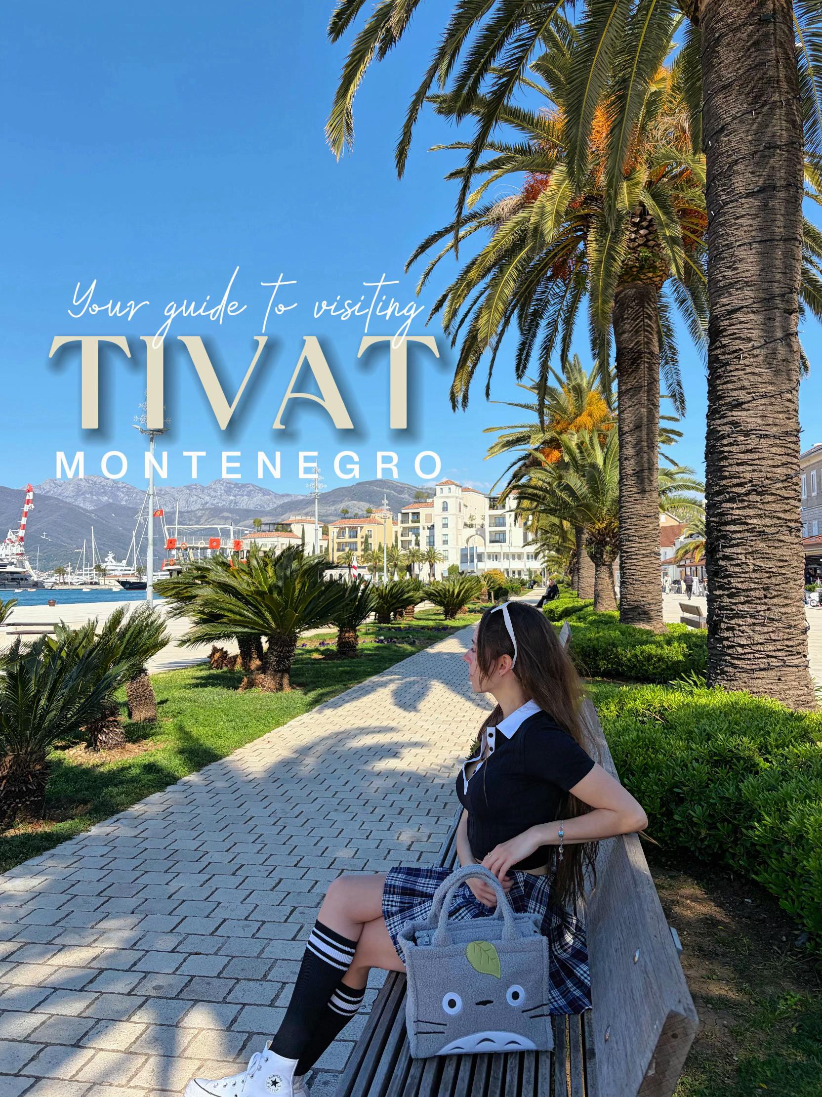 Porto Montenegro