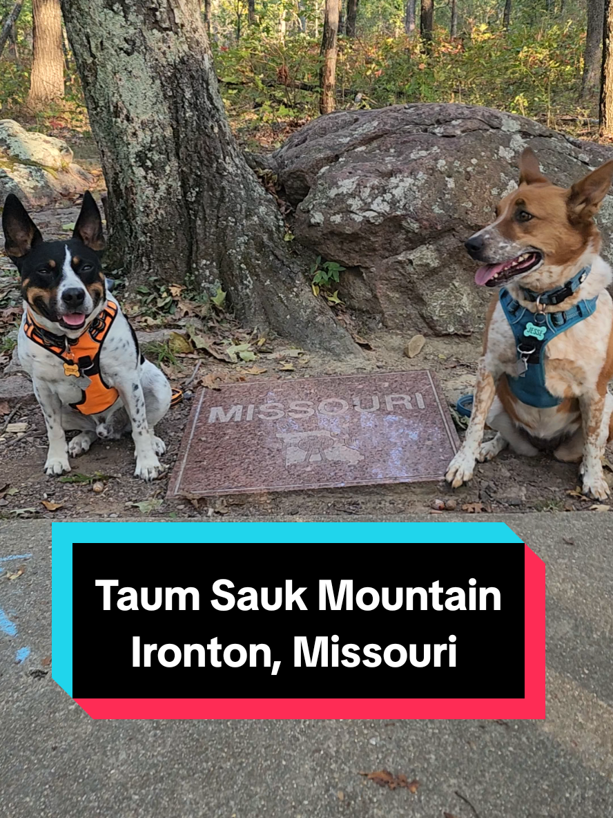 Potosi, MO (Taum Sauk Mountain State Park and Mina Sauk Falls)