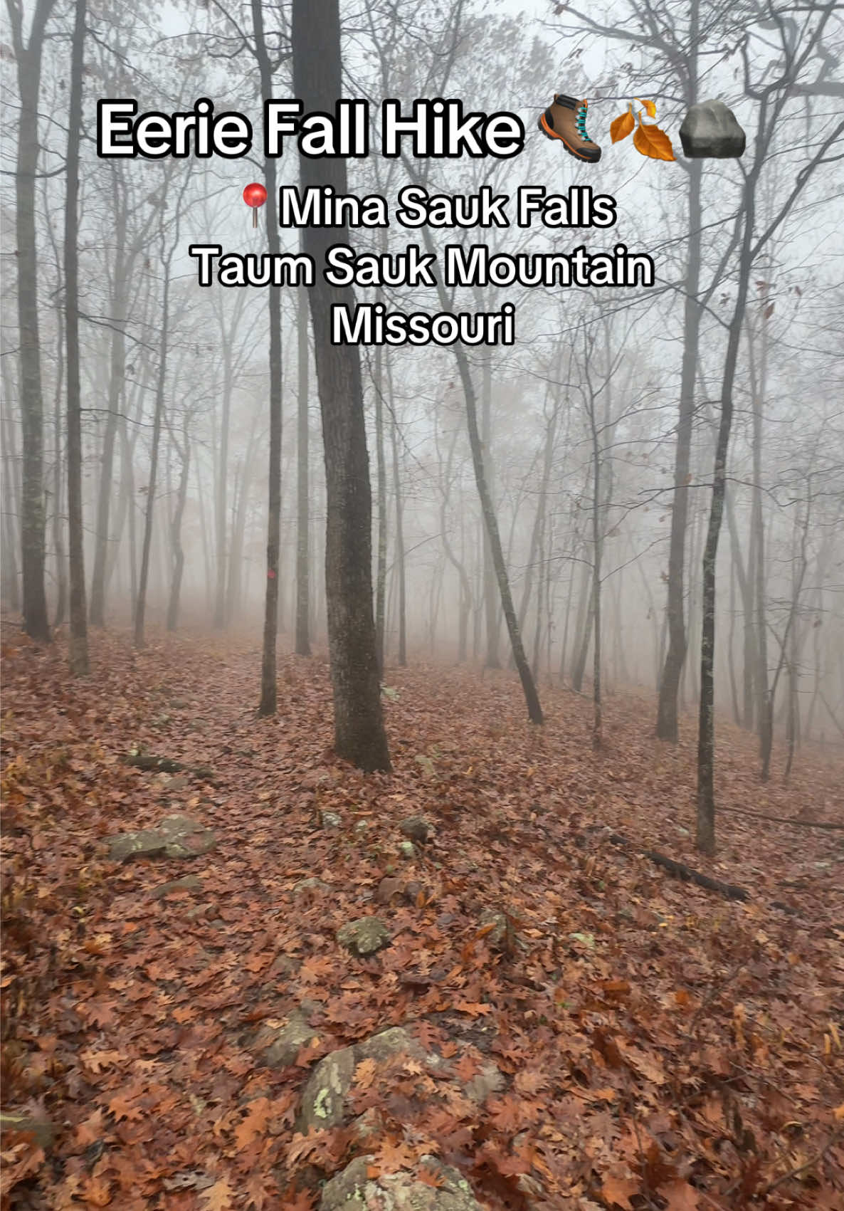 Potosi, MO (Taum Sauk Mountain State Park and Mina Sauk Falls)