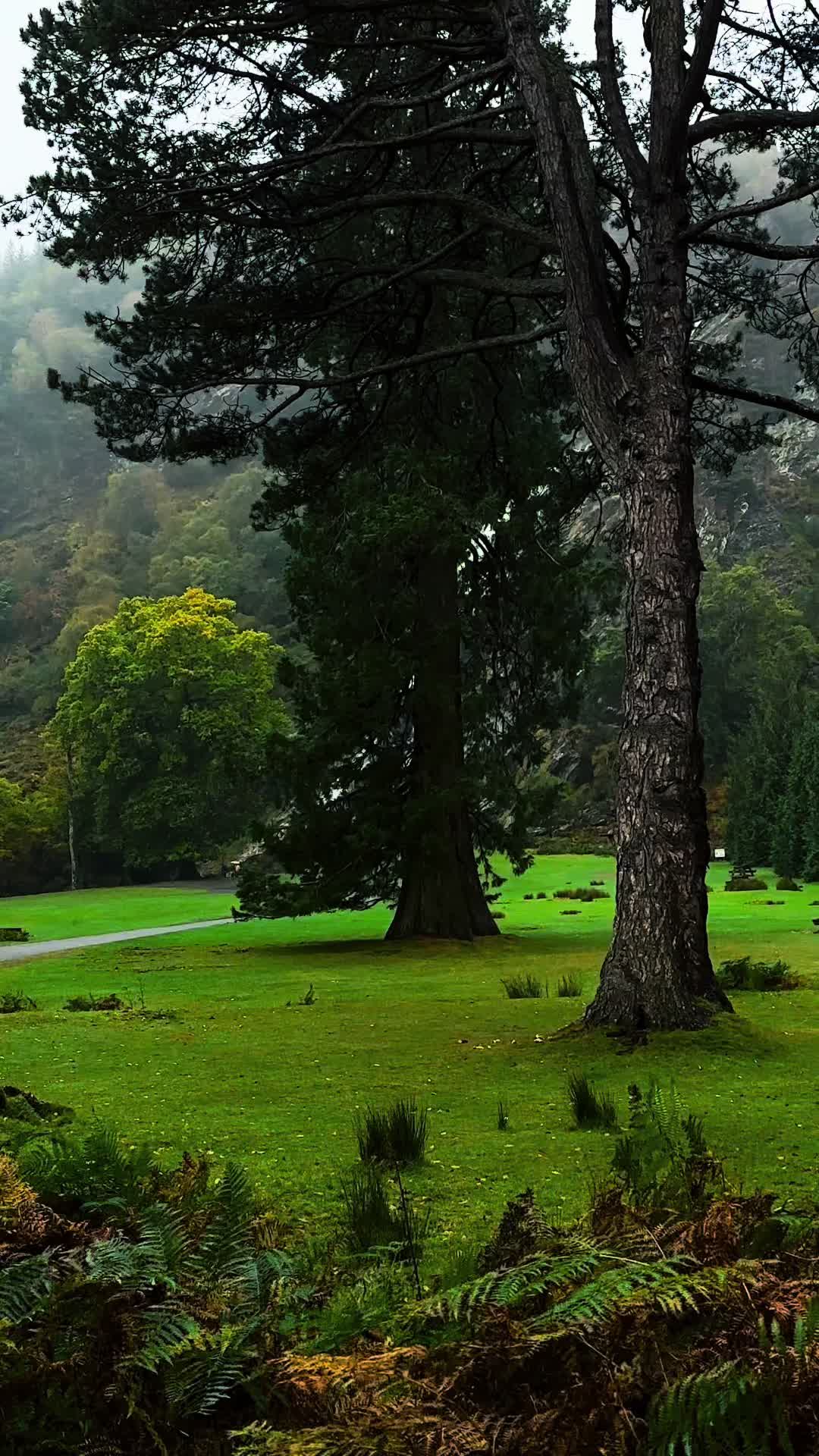 Powerscourt Estate and Gardens