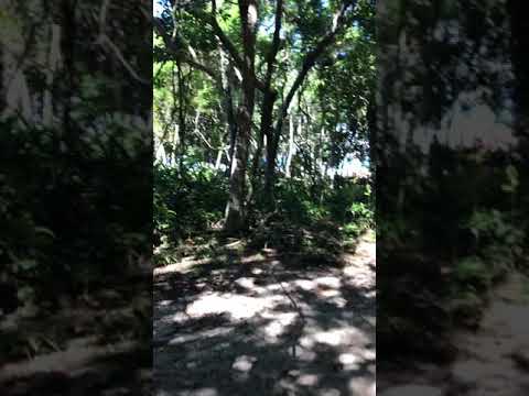 Praia de Lopes Mendes