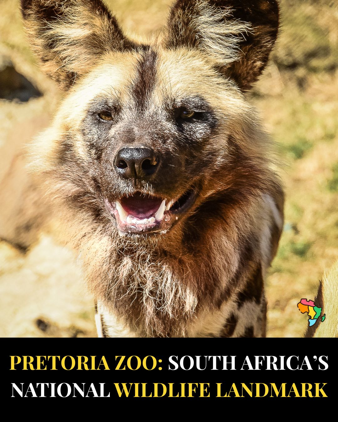 Pretoria Zoo Lake