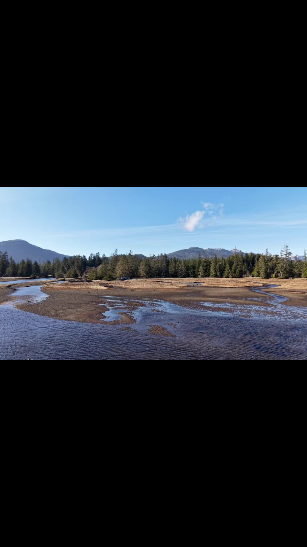 Prince of Wales Island