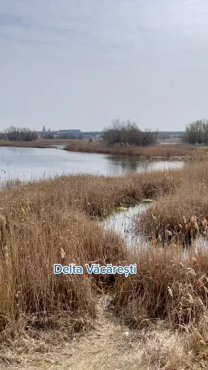Природный парк Вакэрэсти