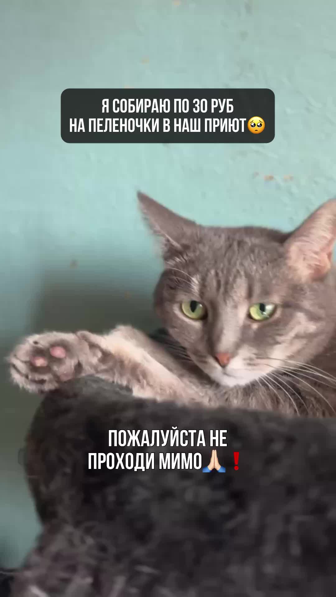 Пристань Бен Дам