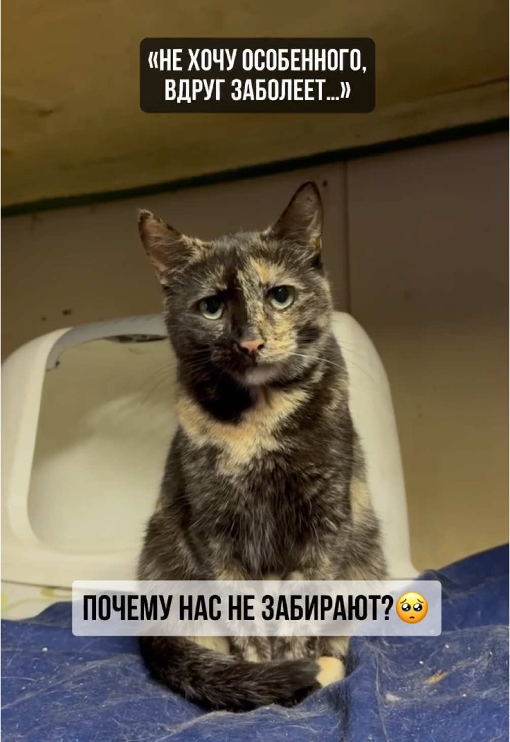 Пристань Бен Дам