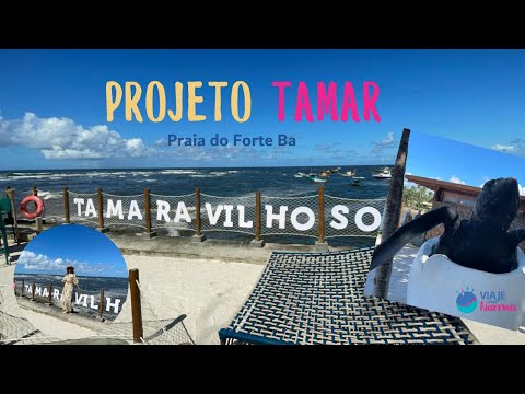 Projeto Tamar, Praia do Forte