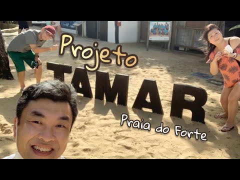 Projeto Tamar, Praia do Forte