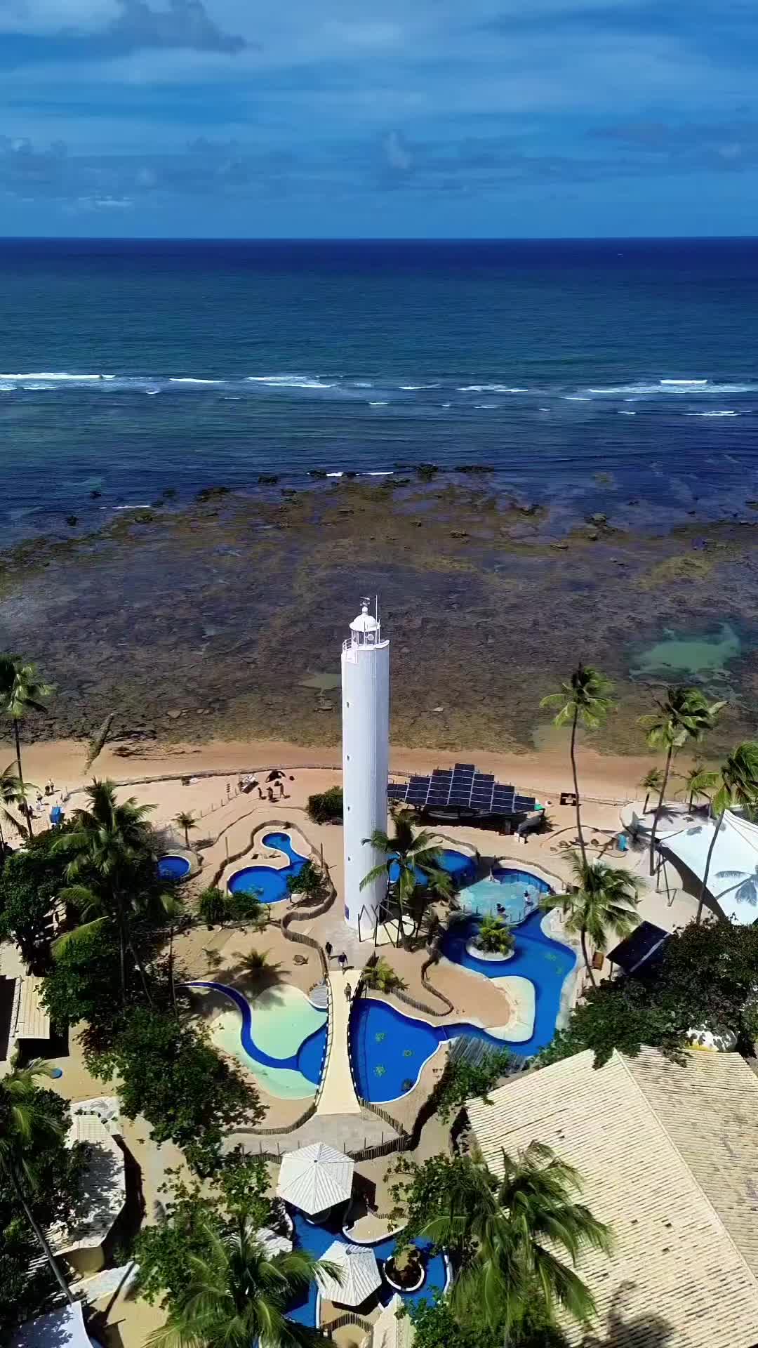 Projeto Tamar, Praia do Forte