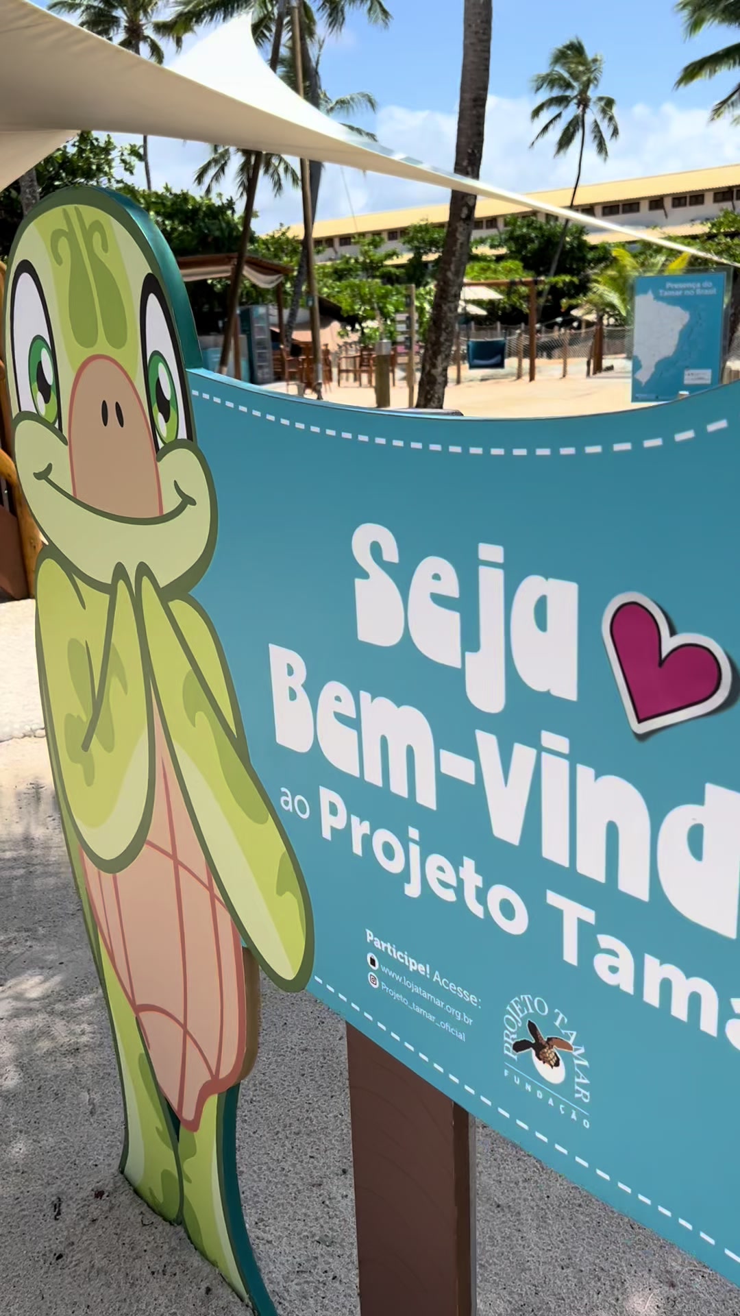 Projeto Tamar, Praia do Forte